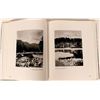 Image 8 : Kinsey Brothers Logging Photography Collection  (117198)