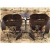 Image 1 : Antique Farm Plow/Planter  (120110)