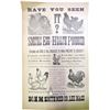 Image 1 : Chickens and Egg Broadside  (85144)