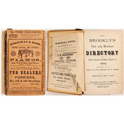 The Brooklyn City and Business Directory, 1869  (82861)