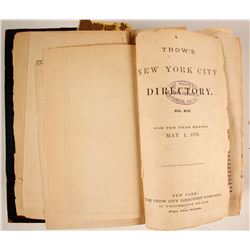 Trow's New York City Directory for 1878-1879  (82943)