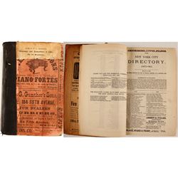 New York City Directory 1879–‘80  (82941)