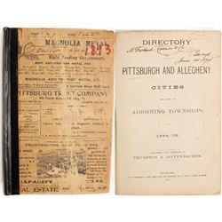 Directory of Pittsburgh and Allegheny Cities, 1874-75  (82972)