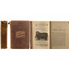 Image 1 : Gazetteer and Business Directory of Addison County  (11455)