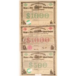 Chicago & Alton Railroad Company Bonds  (106896)
