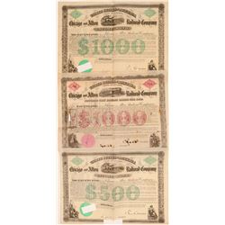 Chicago & Alton Railroad Company Bonds  (106896)