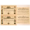 Image 1 : Louisville & Nashville Railroad Co.  (115940)