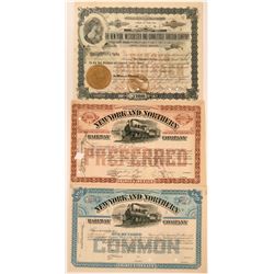 New York Railway and traction companies  (115969)