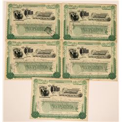 The City Railway Co. of Dayton Ohio  (117516)