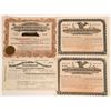 Image 1 : Rails of New York, Delaware and Georgia Stocks  (115987)