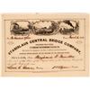 Image 1 : Stanislaus Central Bridge Company Stock Certificate (Gold Rush with Great Vignette!)  (119399)