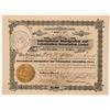 Image 1 : International Immigration and Colonization Assoc., LTD  (115887)