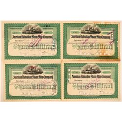 American-Hawaiian Steam Ship Company  (115885)
