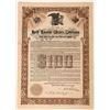 Image 1 : North American Wireless Corporation Bond Certificate, 1910  (111835)