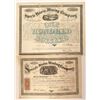 Image 1 : Specie Basis Mining Company Stock and Bond  (90528)