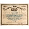 Image 1 : Specie Basis Mining Warrant  (89820)