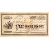 Image 1 : Extra Rare Peer Mining Company Stock Certificate  (59474)