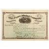 Image 1 : Ferre Mining Company Stock Certificate  (60677)