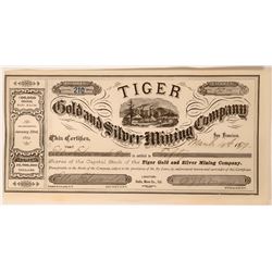 Tiger Gold and Silver Mining Co. Stock  (117549)