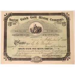 Spring Gulch Gold Mining Stock, San Andreas, Cal. 1895  (111805)