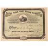 Image 1 : Spring Gulch Gold Mining Stock, San Andreas, Cal. 1895  (111805)