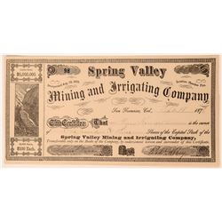 Spring Valley Mining & Irrigating Company Stock Certificate  (113241)