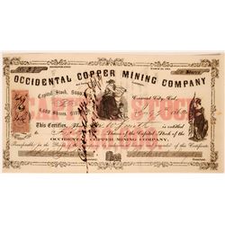 Occidental Copper Mining Company Stock  (119419)