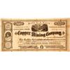Image 1 : Big Canon Copper Mining Company Stock - NUMBER 1  (85427)