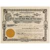 Image 1 : Inyo Cerro Gordo Mining & Power Stock, Owned Cerro Gordo Mine, 1916  (79040)