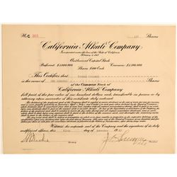 California Alkali Company Stock Certificate  (106707)