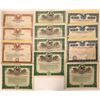 Image 1 : California Mining Stock Certs  (118842)
