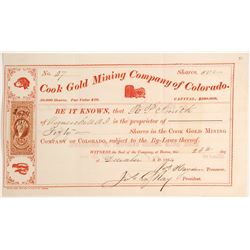 Cook Gold Mining Company of Colorado Stock  (79742)