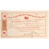 Image 1 : Cook Gold Mining Company of Colorado Stock  (79742)