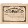 Image 1 : The Denver City Consolidated Silver Mining Co  (117569)