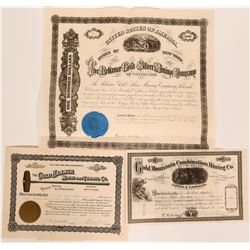 Colorado Mining Stock Collection  (117880)