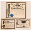 Image 1 : Colorado Mining Stock Collection  (117880)