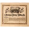Image 1 : Ptarmigan Mining & Milling Co Stock Certificate, Denver, CO. 1896  (111810)