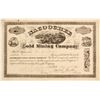 Image 1 : Nacoochee Gold Mining Company Stock  (81960)