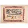 Image 1 : DeLamar Company, Delamar, Idaho,  Beautiful Mining Purchase Warrant, 1902  (111971)