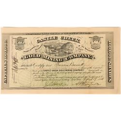 Castle Creek Gold Mining Stock, Idaho Territory, 1884  (111778)