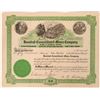 Image 1 : Rosebud Cons. Mines Company Stock, Rosebud, Nevada, 1914  (111798)