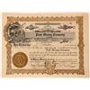 Image 1 : Piute Mining Company of Nevada Stock, Searchlight, 1906  (111800)