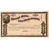 Image 1 : Pittsburgh and Martinez Silver Mining Company Stock Certificate, 1865  (119594)