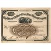 Image 1 : Chicago Calumet and Frisco Silver Mining Co Stock, Utah, 1883  (119593)