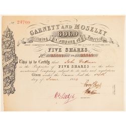 Garnett and Moseley Gold Mining Co. Stock Certificate  (101407)