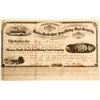 Image 1 : Mexican Pacific Coal & Iron, Mining & Land Company Stock  (81945)
