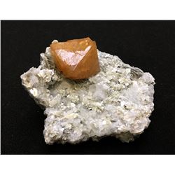 Scheelite and Muscovite from China  (53128)