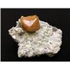Image 1 : Scheelite and Muscovite from China  (53128)