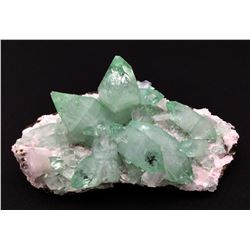 Apophyllite and Stilbite from India  (53076)