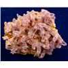 Image 1 : Quartz & Amethyst from Mexico  (57539)